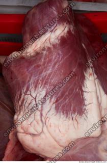 Photo Textures of RAW Pork Meat